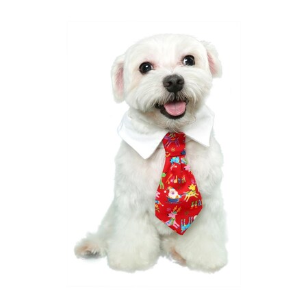 Pooch Outfitters
